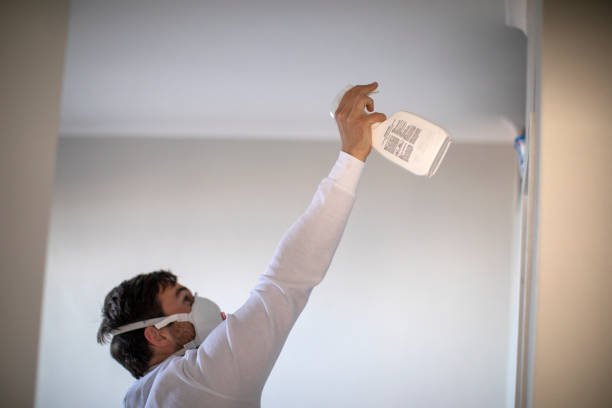 Best Post-Flood Mold Remediation in Mcconnellsburg, PA