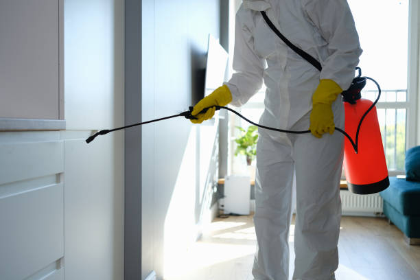 Best Mold Remediation for Schools in Mcconnellsburg, PA