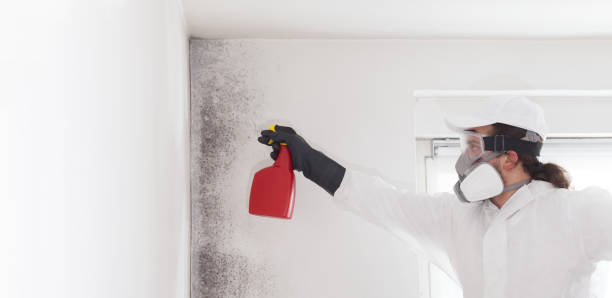 Best Industrial Mold Remediation in Mcconnellsburg, PA